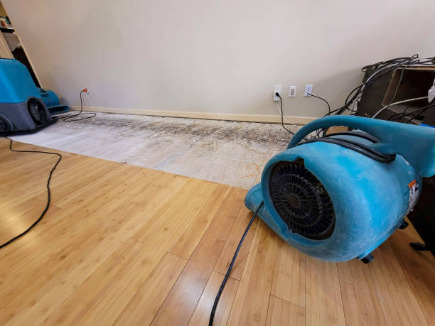 Professional Structural Drying technician working in Odenton, MD